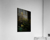 JBS 9682  Acrylic Print