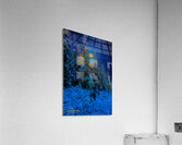 JBS 4968  Acrylic Print