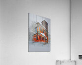 DSC 5683  Acrylic Print