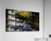 JBS 9699  Acrylic Print