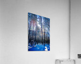 JBS 4409 Acrylic Print