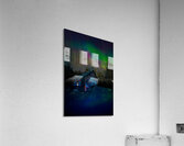 JBS 4795  Acrylic Print