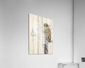 JBS 5420WC 2 Acrylic Print