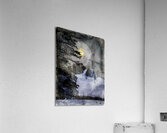 JBS 5278 wc Acrylic Print