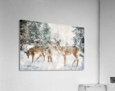 JBS 3204 2 Abstract Impression acrylique