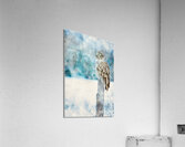 jbs 5420 owl abstract Impression acrylique