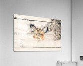 Abstract Deer Acrylic Print