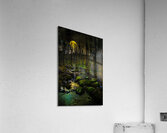 JBS 9682  Impression acrylique