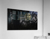 DSC 4847 Acrylic Print