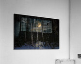 JBS 9973  Impression acrylique