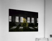 JBS 4984 1 Acrylic Print