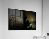 JBS 9933  Acrylic Print