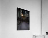 DSC 4177  Acrylic Print