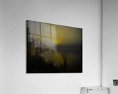 JBS 2558  Acrylic Print