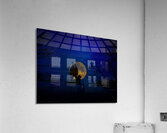 JBS 9674  Acrylic Print