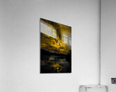 JBS 3475 Acrylic Print