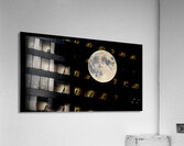 DSC 5705  Acrylic Print