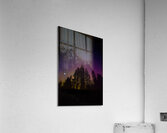 JBS 9713 Acrylic Print