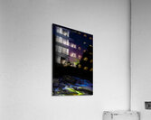 nl12 3858  Acrylic Print