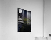 JBS 7786 2  Acrylic Print