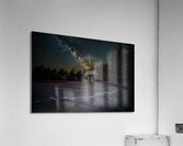 DSC 3944  Acrylic Print