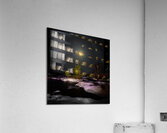 DSC 4341  Acrylic Print