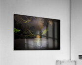 DSC 4039  Acrylic Print