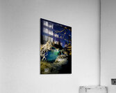 JBS 0725  Acrylic Print