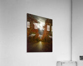 JBS 3790  Acrylic Print