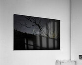 JBS 2415 comet Acrylic Print