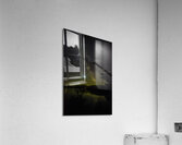 JBS 2486 Acrylic Print