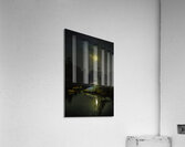 JBS 1098  Acrylic Print