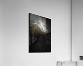 JBS 3041 Acrylic Print