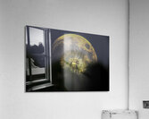 JBS 4981 2 Acrylic Print