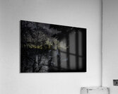 JBS 4554  Impression acrylique