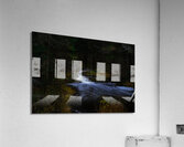 JBS 4248 Acrylic Print