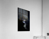 JBS 3166 Impression acrylique