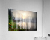 JBS 2558 Impression acrylique