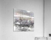 JBS 4080 Acrylic Print