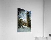 JBS 5227 Acrylic Print