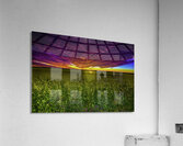 JBS 3554 Acrylic Print