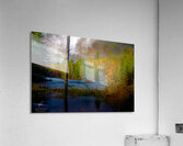  JBS4221 Acrylic Print