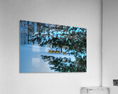 DSC 5646 Acrylic Print