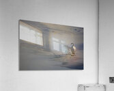 DSC 5806 Acrylic Print