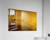 DSC 1717 Acrylic Print