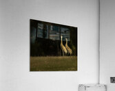 JBS 0918 Impression acrylique