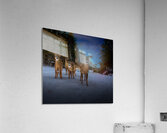 JBS 3174 2  Impression acrylique