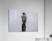 JBS 3105 Acrylic Print