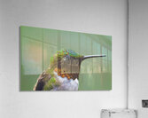 JBS 4152 Impression acrylique