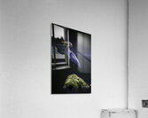 JBS 1706 2 Acrylic Print